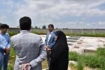 نشست معاونت اداری و مالی دانشگاه فنی و حرفه ای کشور با روسای مراکز دانشگاهی دانشگاه فنی و حرفه ای استان گیلان 22