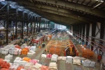دومین میزبانی اجرای دوره دو روزه توانمند سازی اعضا هیات علمی دانشگاه فنی و حرفه ای کشور، با عنوان نساجی مدرن در دانشکده شهید چمران دانشگاه فنی و حرفه ای استان گیلان 9