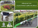 اجرای #  پویش ملی همکاشت - ;کاشت نهال در هفته درختکاری در آموزشکده دکتر معین رشت 
 3