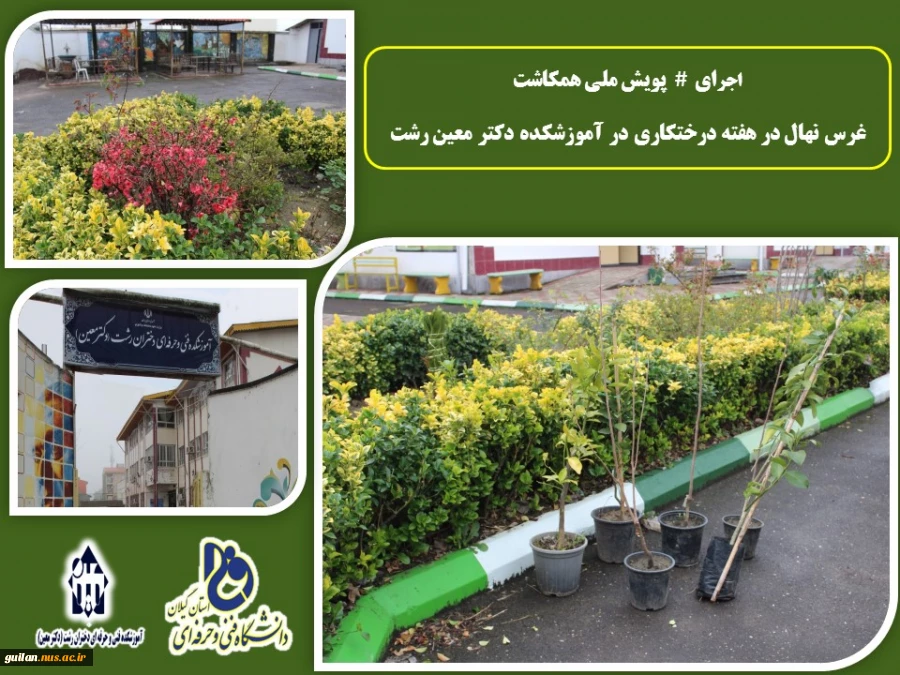 اجرای #  پویش ملی همکاشت - کاشت نهال در هفته درختکاری در آموزشکده دکتر معین رشت 
 3