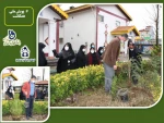 اجرای #  پویش ملی همکاشت - ;کاشت نهال در هفته درختکاری در آموزشکده دکتر معین رشت 
 6