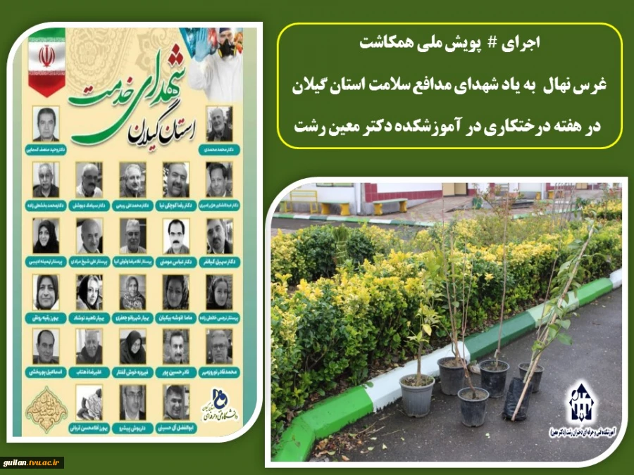 اجرای #  پویش ملی همکاشت - کاشت نهال در هفته درختکاری در آموزشکده دکتر معین رشت 4