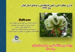 مراسم اختتامیه هفته پژوهش دانشگاه فنی و حرفه ای استان گیلان 3