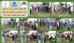 کاشت نهال به مناسبت روز درخت کاریT  ریاست ،کارکنان و دانشجویان آموزشکده شهید رجایی لاهیجان-اسفند 1401
 2