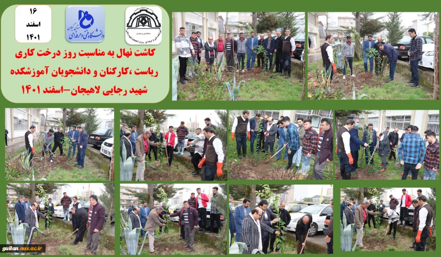 کاشت نهال به مناسبت روز درخت کاریT  ریاست ،کارکنان و دانشجویان آموزشکده شهید رجایی لاهیجان-اسفند 1401
 2