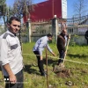 کاشت نهال در آموزشکده امام جعفر صادق (ع) آستانه اشرفیه توسط ریاست و همکاران به مناسبت روز درختکاری 2