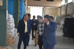 به مناسبت هفته آموزش، برگزاری تور صنعتی و بازدید اساتید و اعضای هیئت علمی از کارخانه لوله و اتصالات روگا گستر گیلان  4