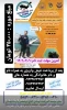 نحوه آموزش شنا و مهارت غواصی 2