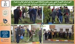به مناسب روز دختکاری 30 اصله درخت مسمر در دانشکده شهید چمران رشت غرس شد 2