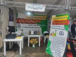 حضور دانشکده فنی و حرفه ای صومعه سرا در نمایشگاه کارآفرینی و ارتباط باصنعت(صدرا) 4
