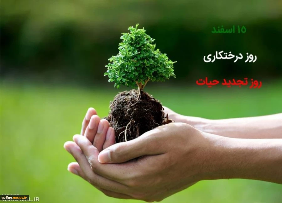مراسم دختکاری اسفند ماه 1403 2