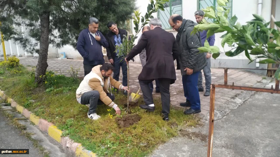 مراسم دختکاری اسفند ماه 1403 3