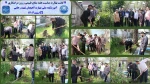 کاشت نهال به مناسبت هفته منابع طبیعی و روز درختکاری -آموزشکده ملی مهارت شهید رجایی لاهیجان -اسفند۱۴۰۳ 2