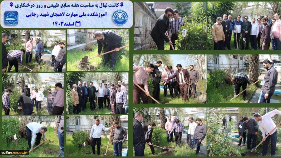 کاشت نهال به مناسبت هفته منابع طبیعی و روز درختکاری -آموزشکده ملی مهارت شهید رجایی لاهیجان -اسفند۱۴۰۳ 2