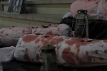 تجمع کارمندان ، اساتید  و دانشجویان در آموزشکده ملی مهارت شهید رجایی لاهیجان جهت حمایت از مردم مظلوم غزه-فروردین 1404 5