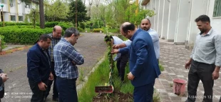 مراسم درختکاری با حضور ریاست آموزشکده ملی مهارت آستانه اشرفیه و همکاران برگزار گردید. 3